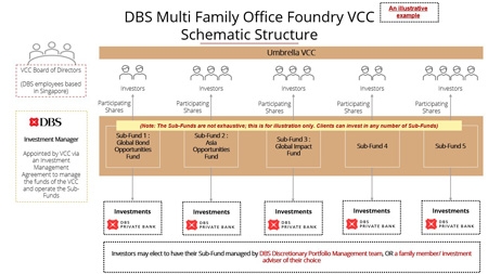 Self Photos / Files - DBS Multi family office foundry VCC